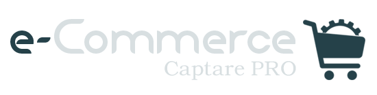 Villatore Informatica